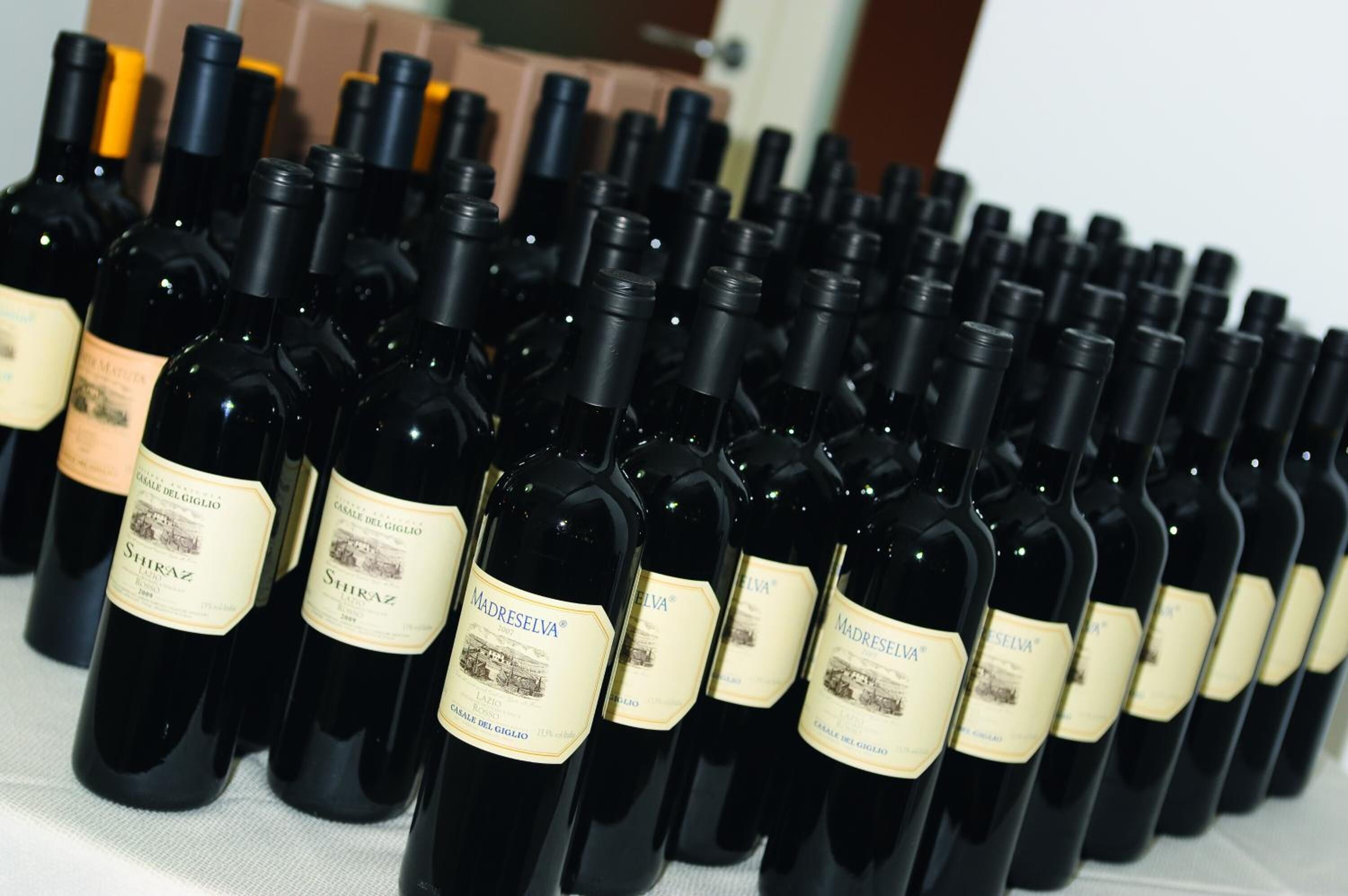 A row of wine bottles with labels, arranged on a table.