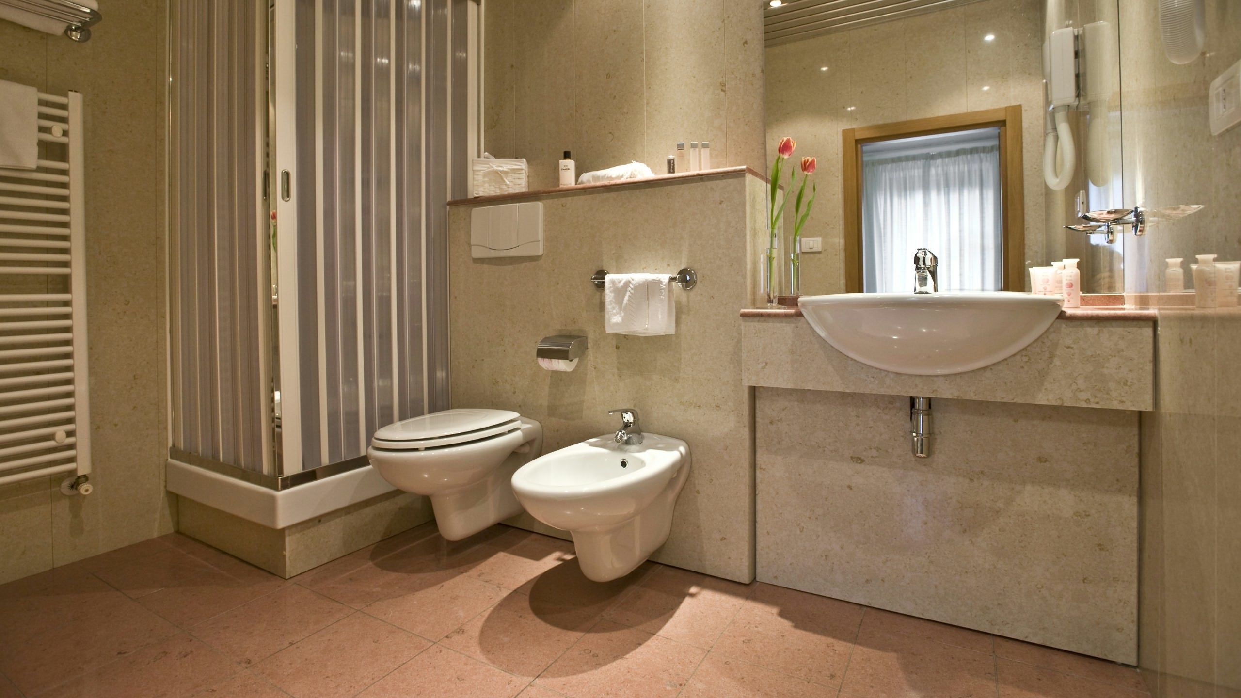 shower, free toiletries, hair dryer, bidet