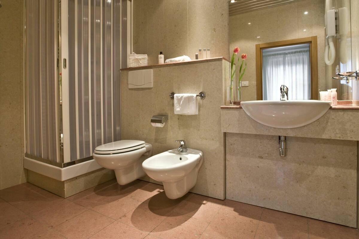 shower, free toiletries, hair dryer, bidet