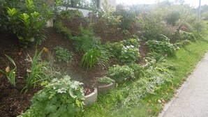 Un jardín con diversas plantas y una jardinera de hormigón frente a un edificio.