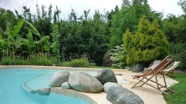 Ein Schwimmbecken mit großen Steinen, einer Liege und einem gepflegten Garten mit verschiedenen Pflanzen und Bäumen.