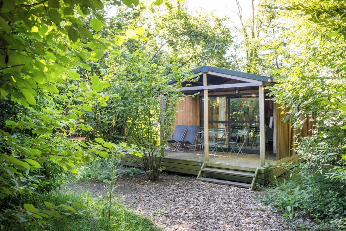 A wooden cabin with a glass enclosure, surrounded by dense greenery.