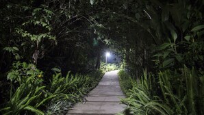 A pathway surrounded by dense foliage and a streetlight. - Hotel Boutique Y Restaurante Panisté (San Cristobal Verapaz)