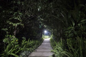 Un sendero rodeado de follaje denso e iluminado por una farola.