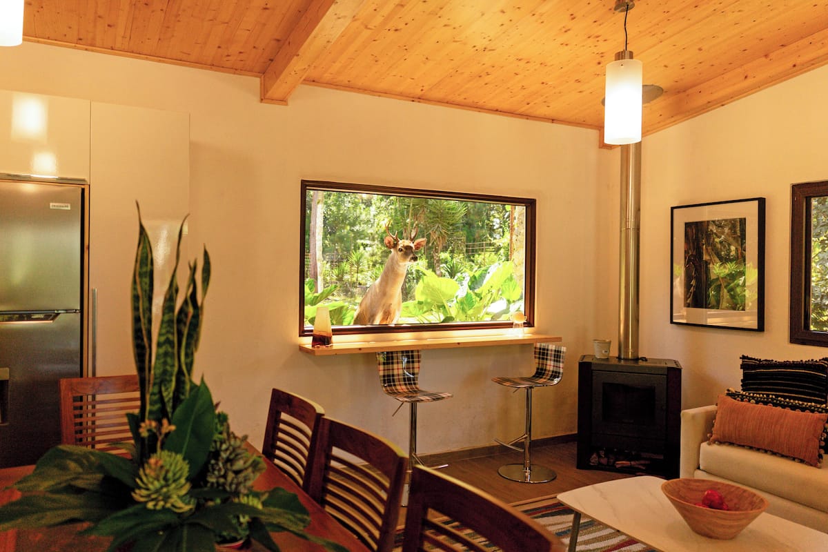 Casa Comfort | 3 camere, minibar, una cassaforte in camera, con arredamento individuale