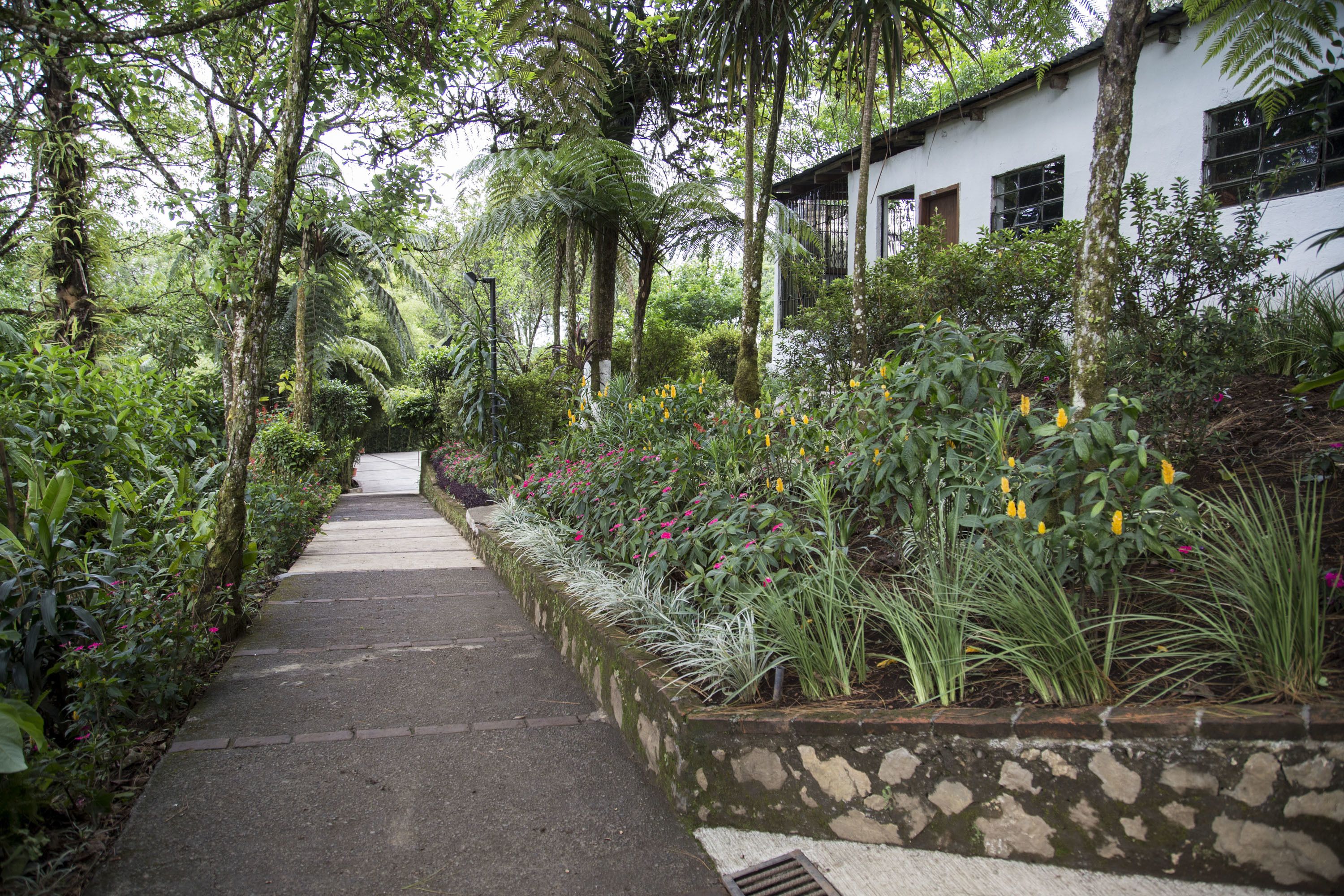 Un sentier bordé d’une végétation luxuriante et de plantes en fleurs, qui mène à un bâtiment blanc doté de nombreuses fenêtres.