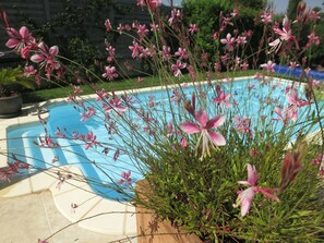 Außenpool (je nach Saison geöffnet), Sonnenschirme, Liegestühle