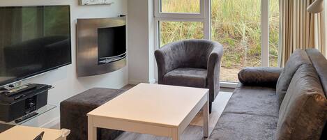 تلفزيون، مدفأة