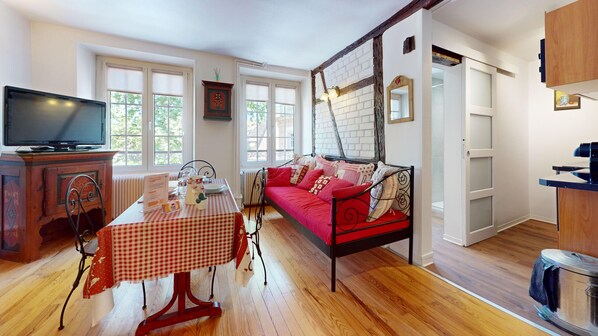 TV, DVD player, books