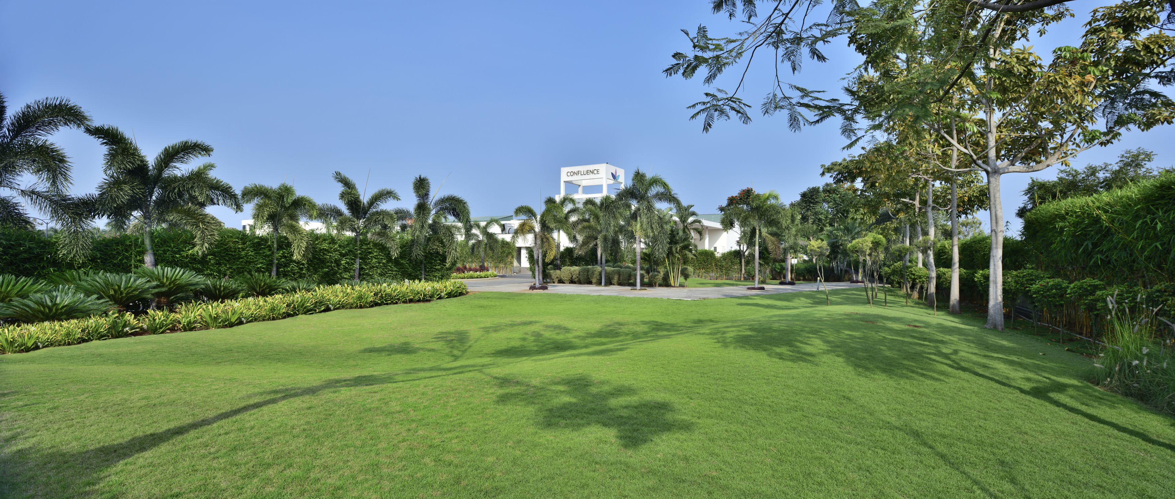 A well-maintained lawn with palm trees and a building labeled "CONFLUENCE" in the background.