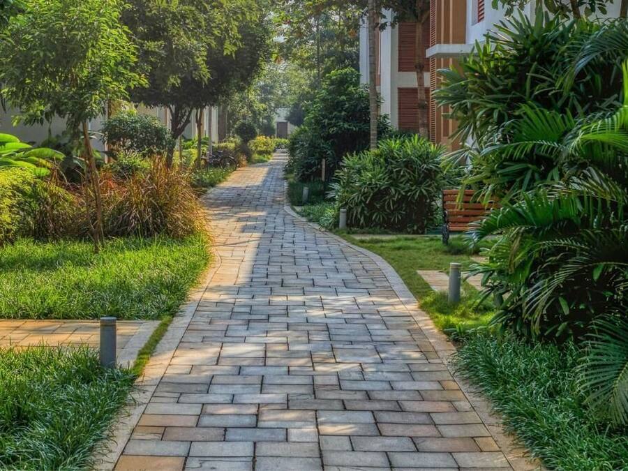 Un camino pavimentado bordeado de exuberante vegetación y edificios con contraventanas rojas.