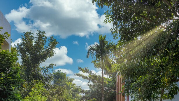 A paved pathway flanked by lush greenery and buildings with red and white facades. - Four Points by Sheraton Mahabalipuram Resort & Convention Center (Tirukalukundram)