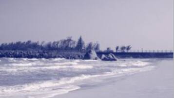 A snowy beach with a fence and trees in the background.