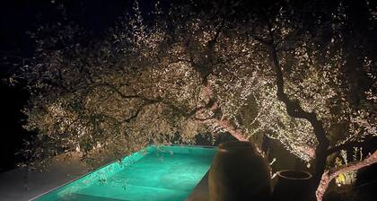 BASTIDE FAMILIALE AVEC PISCINE PRIVEE CHAUFFEE DRAGUIGNAN