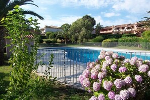 Pool - APARTMENT ORO 53- 3*- SEA VIEW - BEACH ON FOOT - FAVONE (FAVONE CONCA)