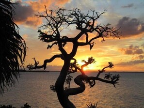 Beach nearby - Conched Out – Luxury 5BR Estate with Private Dock & Stunning Abaco Sunsets (Elbow Cay)