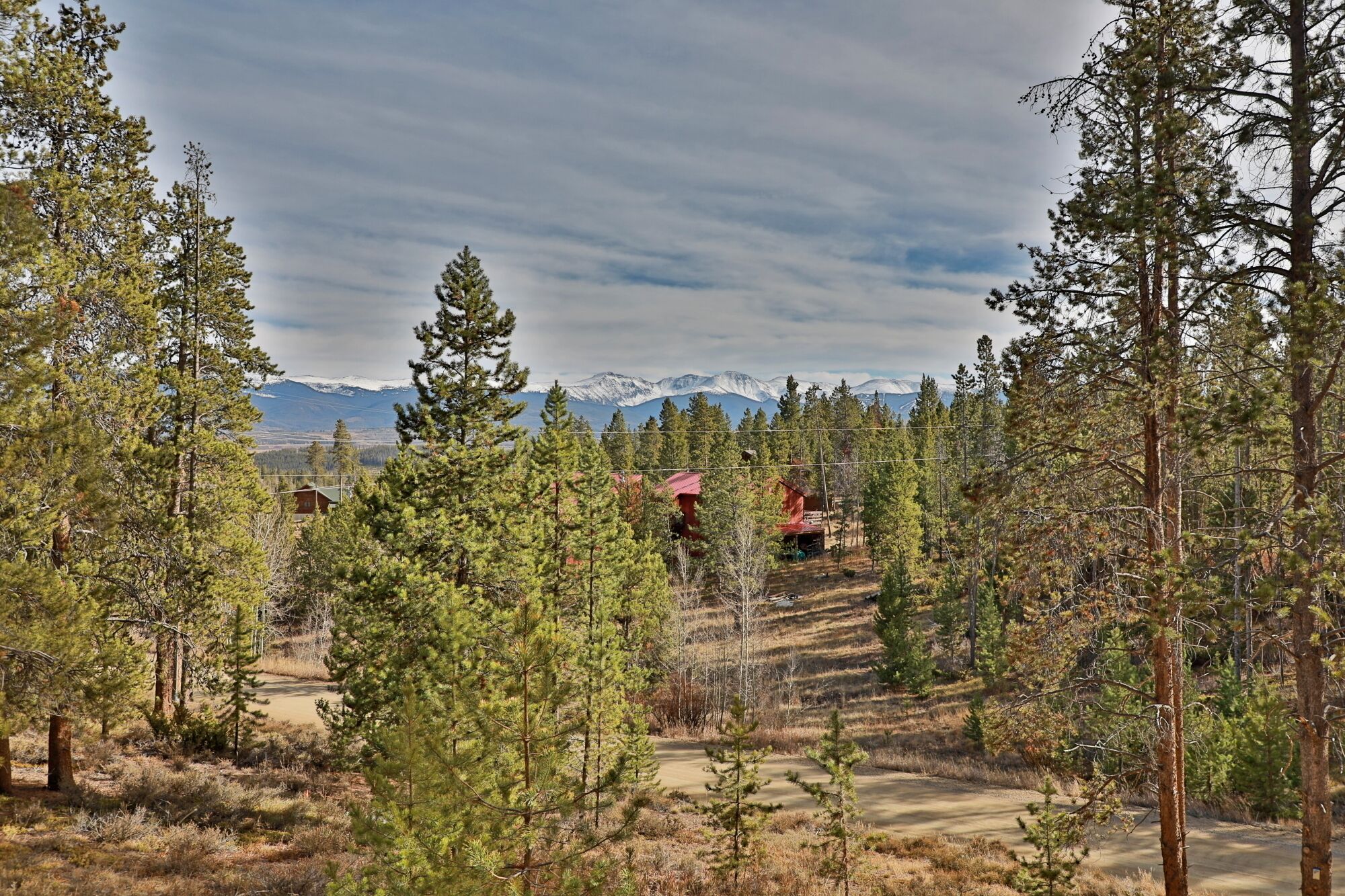 A forested area with a dirt path leading to a cabin.