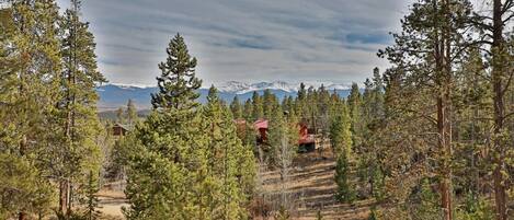 A forested area with a dirt path leading to a cabin.