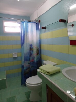 Apartment | Bathroom | Shower, hair dryer, towels