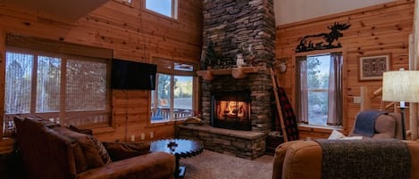 Smart-TV, Kamin, Netflix, Bücher
