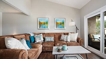 TV, fireplace, books