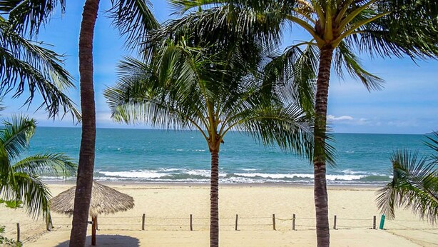 Ein Strand mit Palmen und einem Zaun.