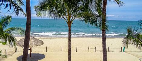 Vista desde la propiedad