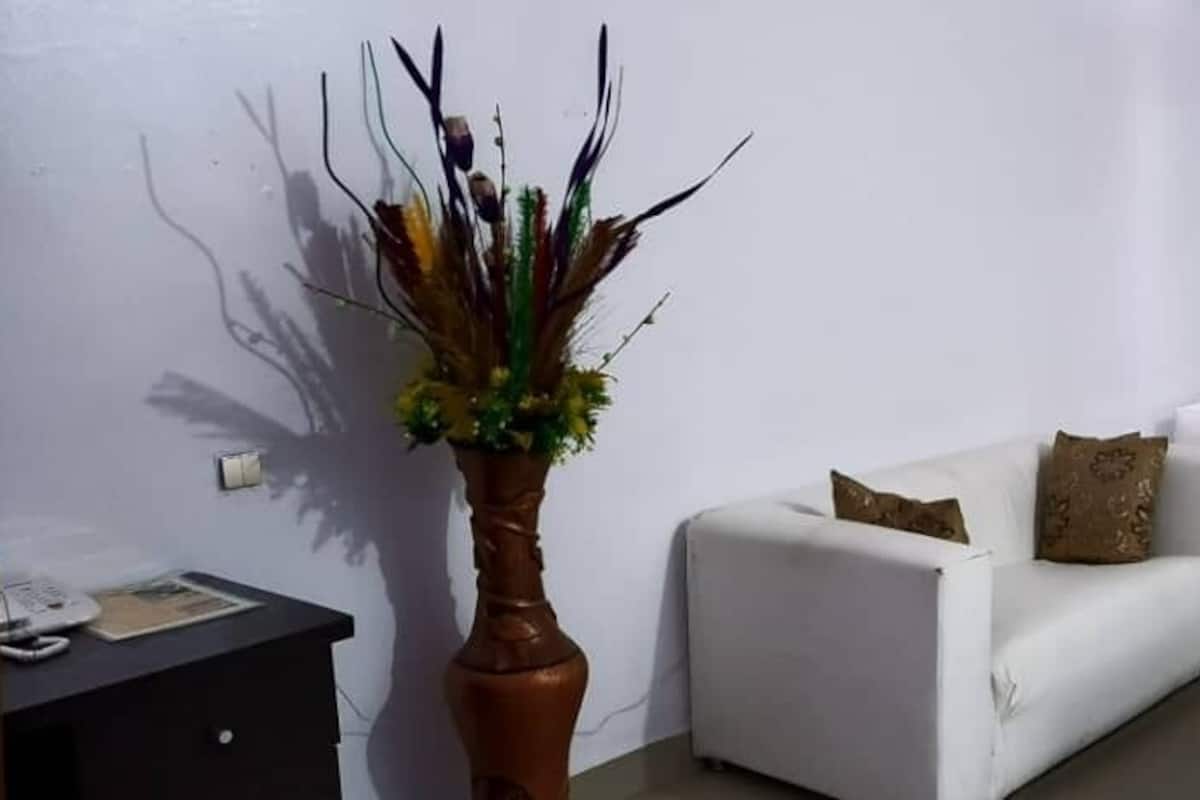 Uma sala de estar com um sofá branco, uma pequena mesa preta e uma planta decorativa.