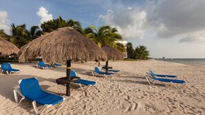 Una spiaggia con lettini azzurri e ombrelloni di paglia.