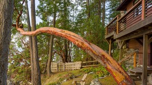 Une structure rustique en bois, dotée d’une poutre en bois courbée, de bancs en bois et d’un chemin en pierre.