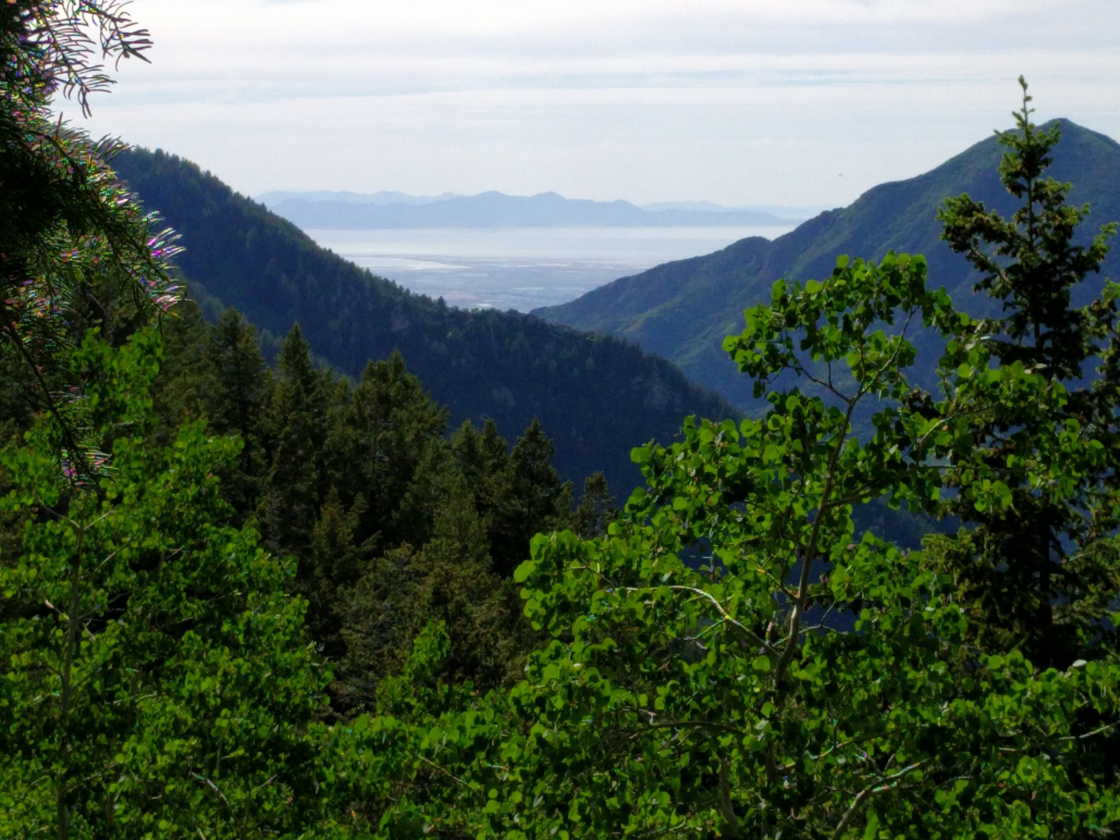 A mountainous landscape with dense forest and a valley.