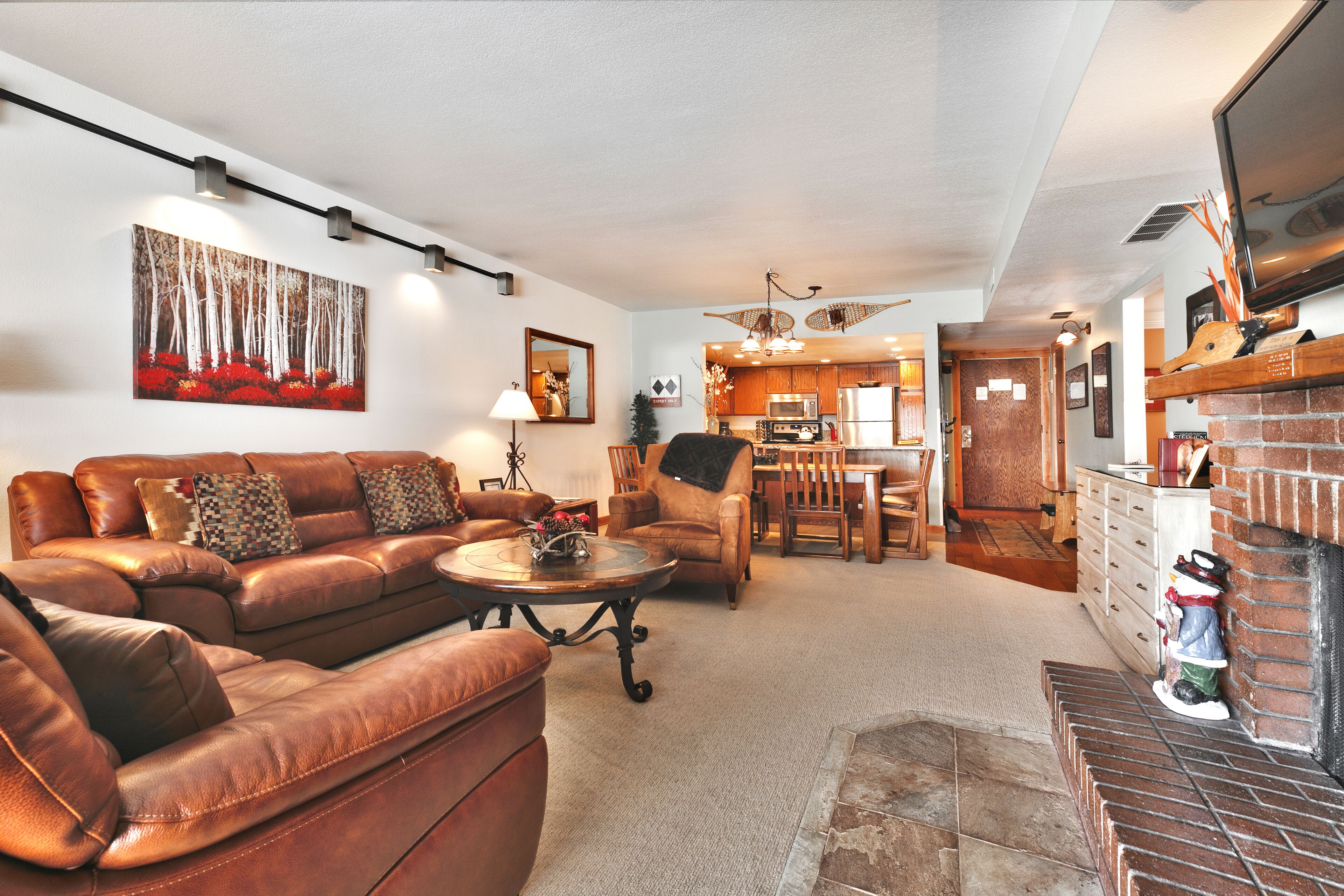 Smart TV, lareira, livros