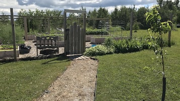 Terrain de l’hébergement