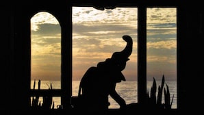 Silhouette di una persona in un ingresso con vista sul tramonto.