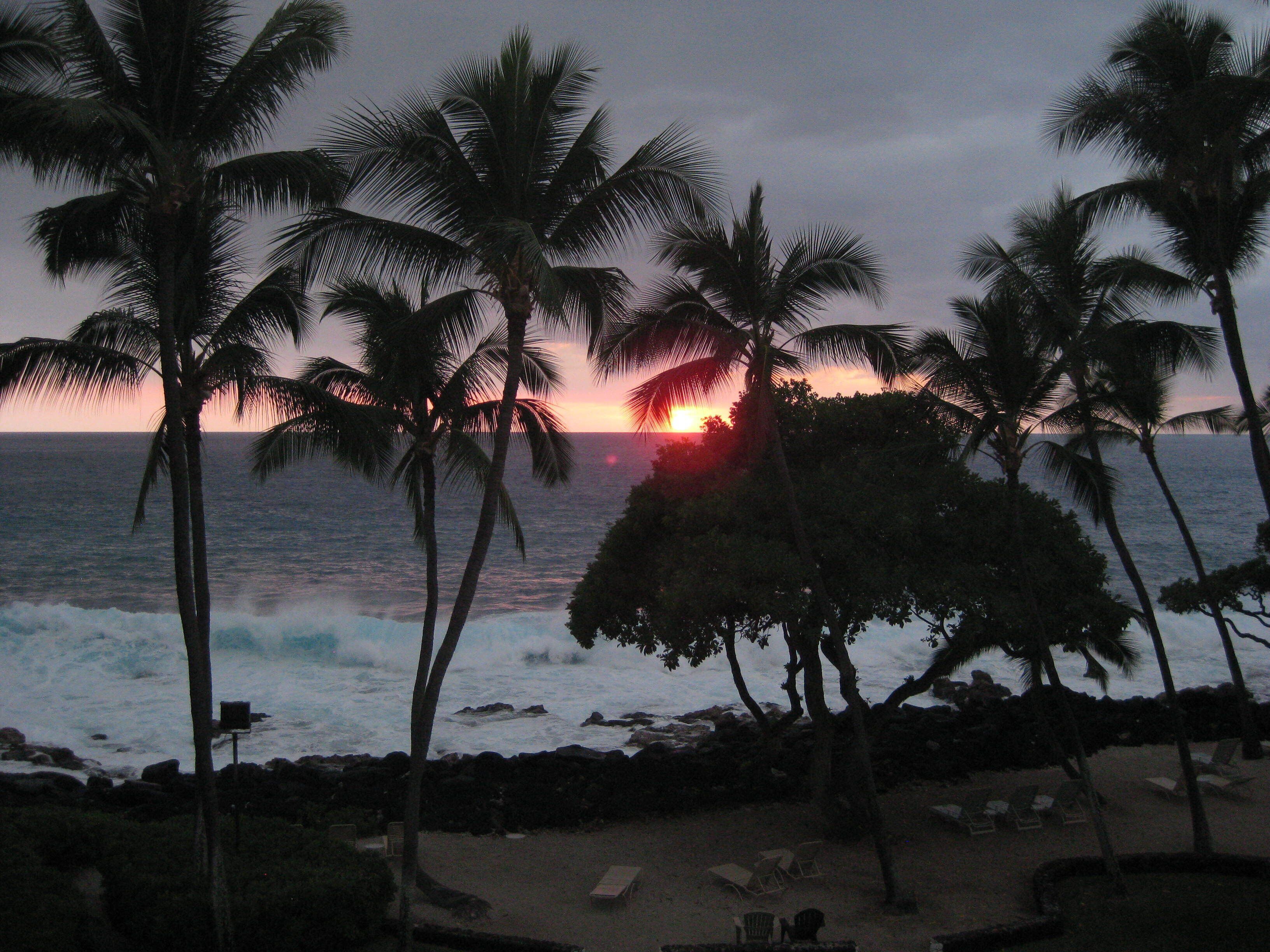 A beach with palm trees, a sunset, and the ocean.
