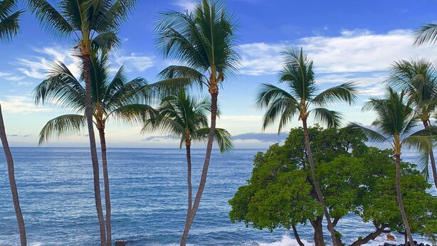 A beach with palm trees, a rocky shoreline, and lounge chairs. - Gorgeous remodeled condo Oceanfront! SUNSET! <br> (Kailua-Kona)