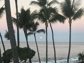 海灘