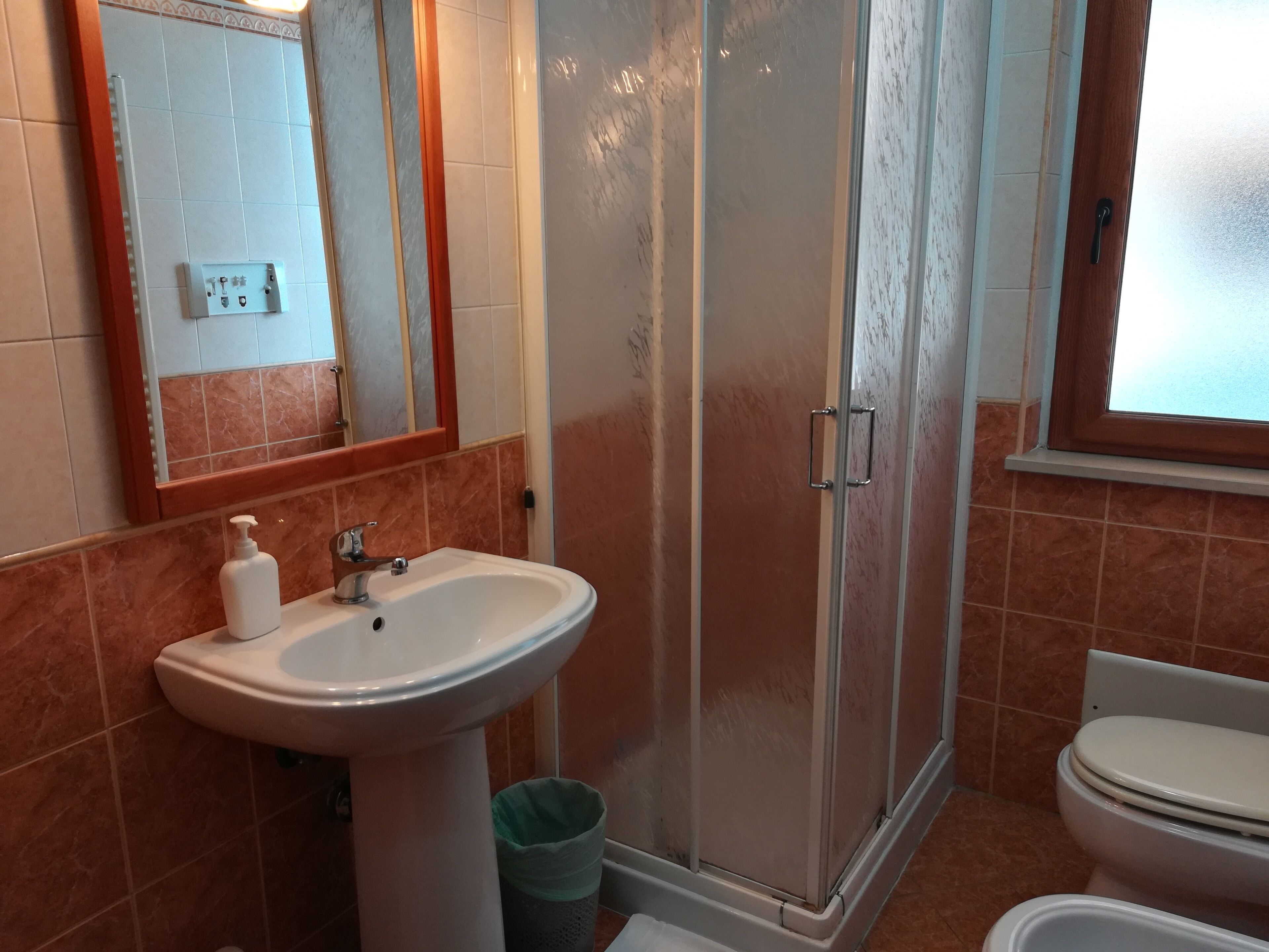 A bathroom with a white sink, a mirror, a shower enclosure, and a toilet.