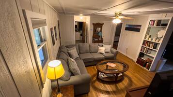 TV, DVD player, books, video library