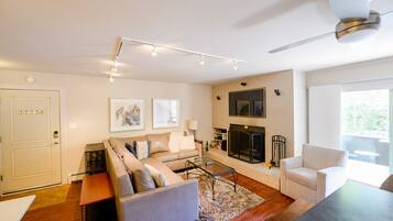 TV connectée, cheminée, lecteur de DVD, livres