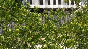 Une maison à deux étages avec un balcon et une véranda.