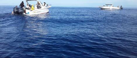 Two boats on a calm sea.