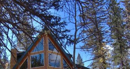 Duck Creek Luxurious Cabin