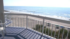 View from property - Direct Ocean Front Condo (Murrells Inlet)