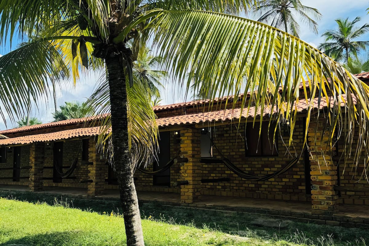 A brick building with a tiled roof and a palm tree in front.
