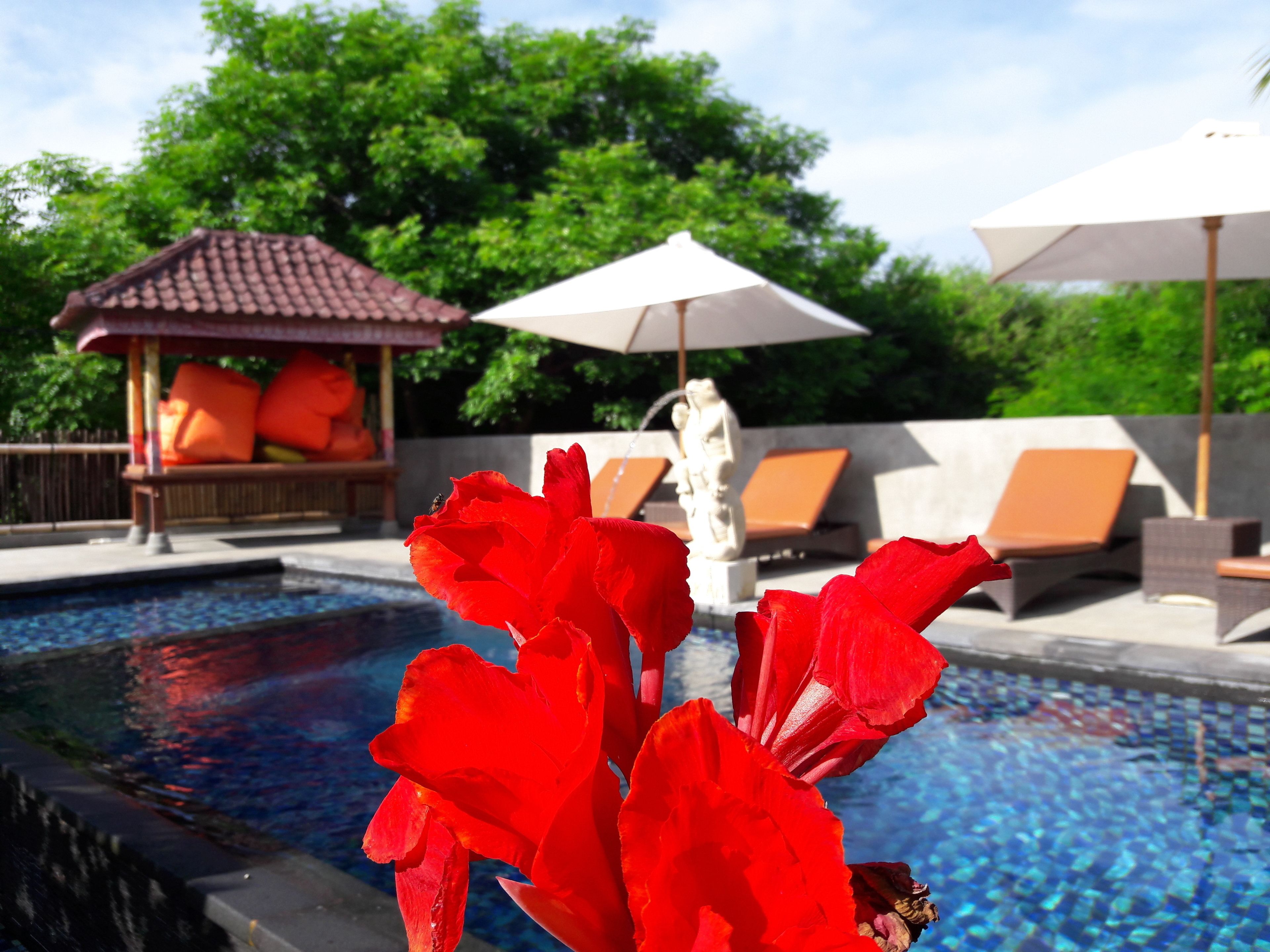 Foto - The Akah Cottage