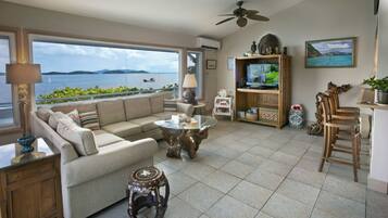 Smart TV, DVD player, books, video library