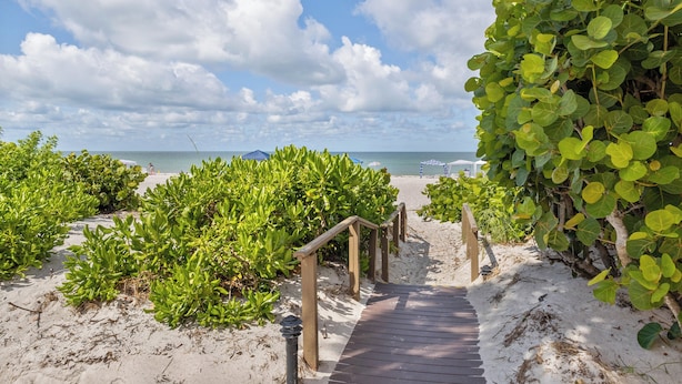 Un sentiero di legno conduce a una spiaggia, con vegetazione lussureggiante e cielo sereno.