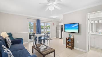 电视、DVD 播放器、立体声音响