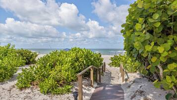 在海滩、海滩遮阳伞